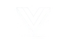 Vue icon